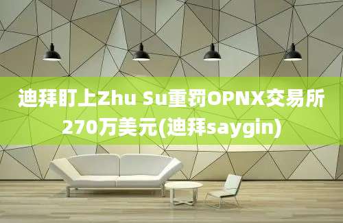 迪拜盯上Zhu Su重罚OPNX交易所270万美元(迪拜saygin)