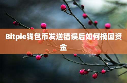 Bitpie钱包币发送错误后如何挽回资金