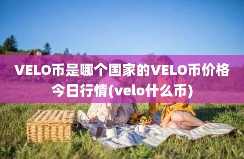 VELO币是哪个国家的VELO币价格今日行情(velo什么币)