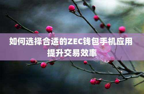 如何选择合适的ZEC钱包手机应用 提升交易效率