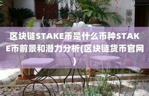 区块链STAKE币是什么币种STAKE币前景和潜力分析(区块链货币官网)