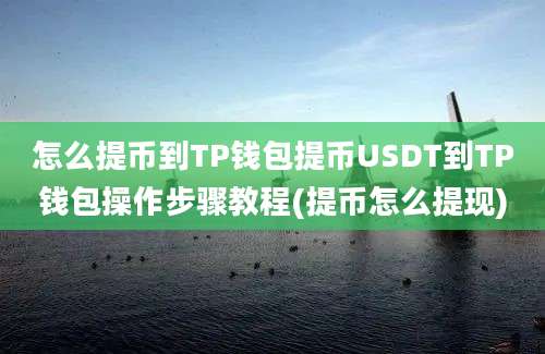 怎么提币到TP钱包提币USDT到TP钱包操作步骤教程(提币怎么提现)