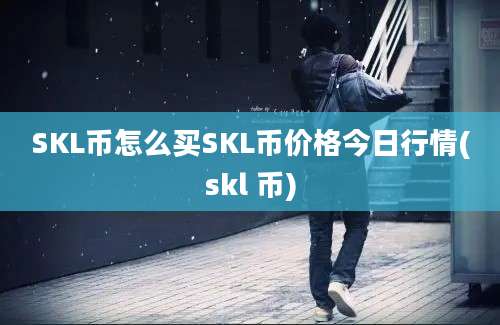 SKL币怎么买SKL币价格今日行情(skl 币)