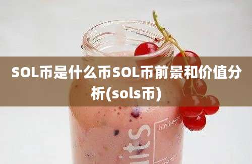 SOL币是什么币SOL币前景和价值分析(sols币)