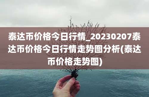 泰达币价格今日行情_20230207泰达币价格今日行情走势图分析(泰达币价格走势图)