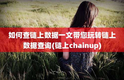 如何查链上数据一文带您玩转链上数据查询(链上chainup)