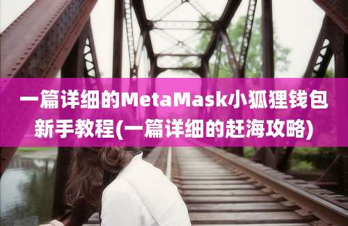 一篇详细的MetaMask小狐狸钱包新手教程(一篇详细的赶海攻略)