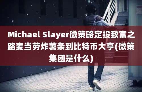 Michael Slayer微策略定投致富之路麦当劳炸薯条到比特币大亨(微策集团是什么)