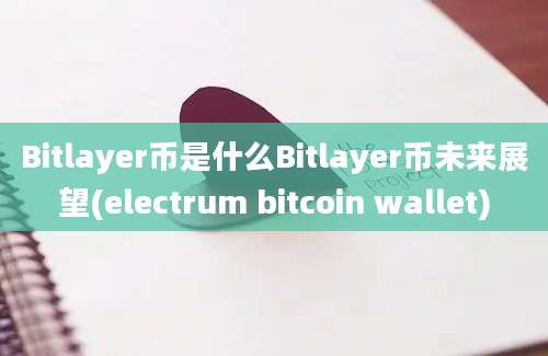 Bitlayer币是什么Bitlayer币未来展望(electrum bitcoin wallet)