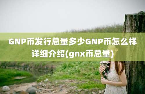 GNP币发行总量多少GNP币怎么样详细介绍(gnx币总量)