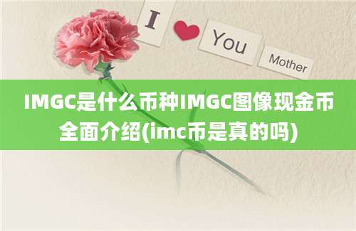 IMGC是什么币种IMGC图像现金币全面介绍(imc币是真的吗)