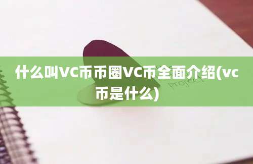 什么叫VC币币圈VC币全面介绍(vc币是什么)