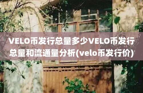 VELO币发行总量多少VELO币发行总量和流通量分析(velo币发行价)