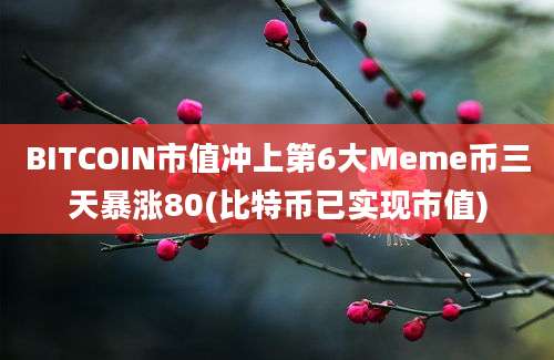 BITCOIN市值冲上第6大Meme币三天暴涨80(比特币已实现市值)