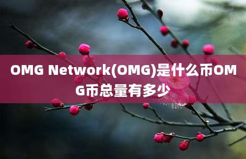 OMG Network(OMG)是什么币OMG币总量有多少