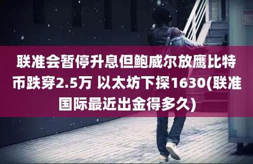 联准会暂停升息但鲍威尔放鹰比特币跌穿2.5万 以太坊下探1630(联准国际最近出金得多久)