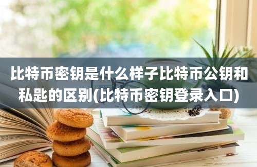 比特币密钥是什么样子比特币公钥和私匙的区别(比特币密钥登录入口)