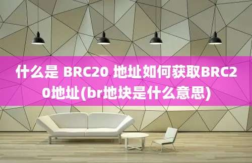 什么是 BRC20 地址如何获取BRC20地址(br地块是什么意思)