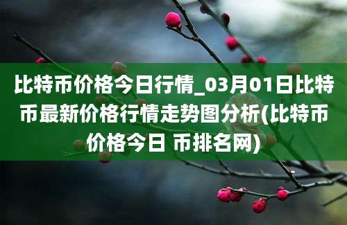 比特币价格今日行情_03月01日比特币最新价格行情走势图分析(比特币价格今日 币排名网)