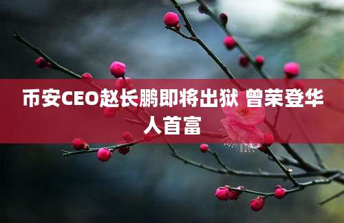 币安CEO赵长鹏即将出狱 曾荣登华人首富