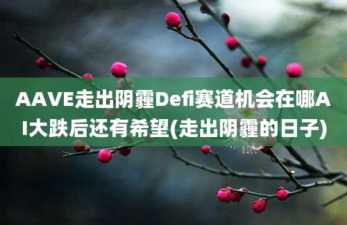 AAVE走出阴霾Defi赛道机会在哪AI大跌后还有希望(走出阴霾的日子)