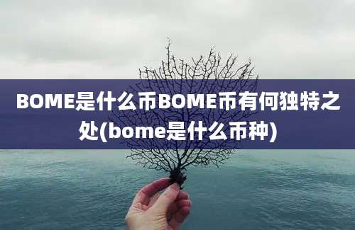 BOME是什么币BOME币有何独特之处(bome是什么币种)