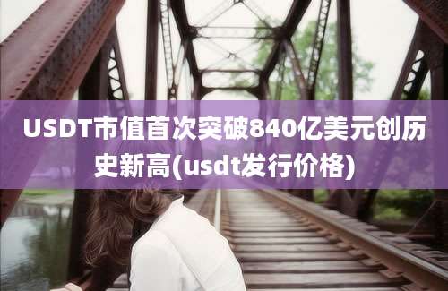 USDT市值首次突破840亿美元创历史新高(usdt发行价格)