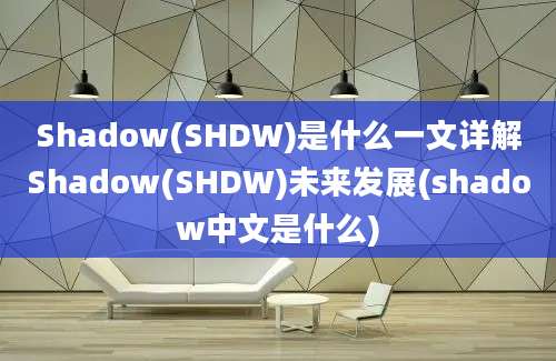 Shadow(SHDW)是什么一文详解Shadow(SHDW)未来发展(shadow中文是什么)