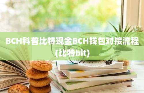 BCH科普比特现金BCH钱包对接流程(比特bit)