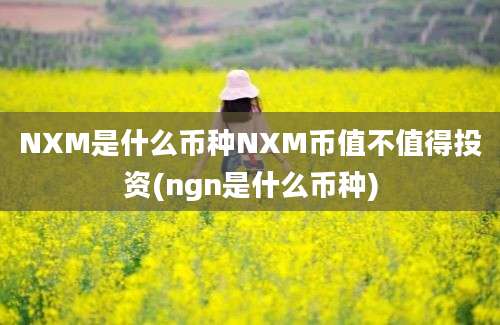 NXM是什么币种NXM币值不值得投资(ngn是什么币种)