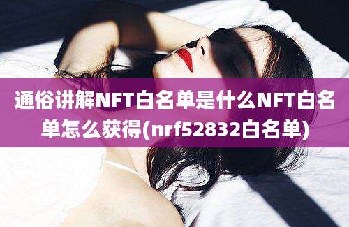 通俗讲解NFT白名单是什么NFT白名单怎么获得(nrf52832白名单)