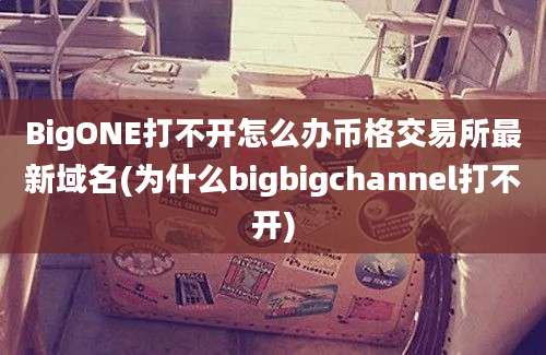 BigONE打不开怎么办币格交易所最新域名(为什么bigbigchannel打不开)