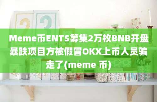 Meme币ENTS筹集2万枚BNB开盘暴跌项目方被假冒OKX上币人员骗走了(meme 币)