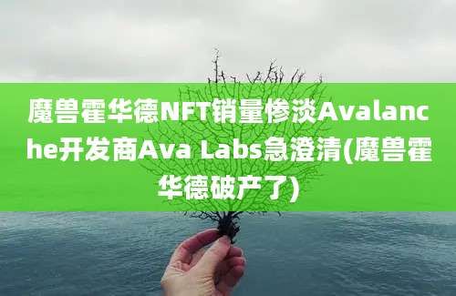 魔兽霍华德NFT销量惨淡Avalanche开发商Ava Labs急澄清(魔兽霍华德破产了)