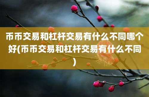 币币交易和杠杆交易有什么不同哪个好(币币交易和杠杆交易有什么不同)