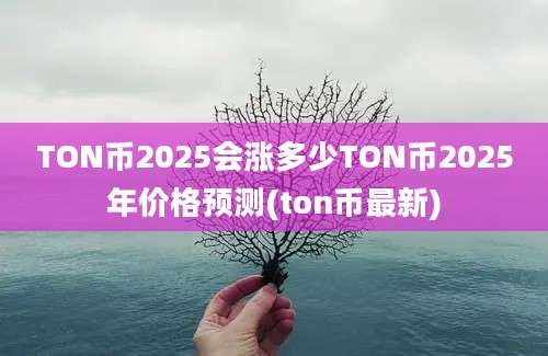 TON币2025会涨多少TON币2025年价格预测(ton币最新)