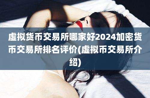 虚拟货币交易所哪家好2024加密货币交易所排名评价(虚拟币交易所介绍)