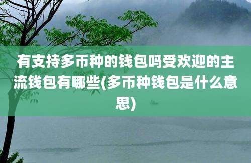 有支持多币种的钱包吗受欢迎的主流钱包有哪些(多币种钱包是什么意思)