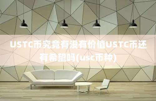 USTC币究竟有没有价值USTC币还有希望吗(usc币种)