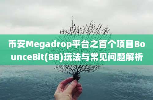 币安Megadrop平台之首个项目BounceBit(BB)玩法与常见问题解析