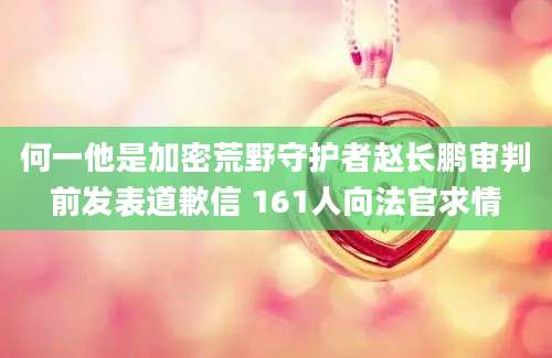 何一他是加密荒野守护者赵长鹏审判前发表道歉信 161人向法官求情