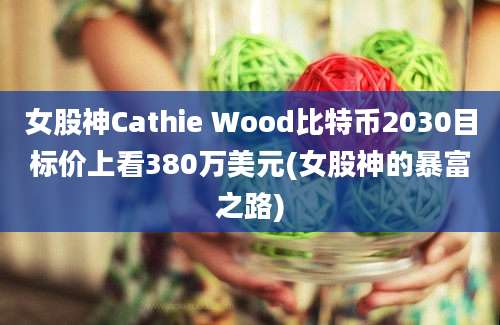 女股神Cathie Wood比特币2030目标价上看380万美元(女股神的暴富之路)