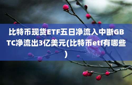 比特币现货ETF五日净流入中断GBTC净流出3亿美元(比特币etf有哪些)