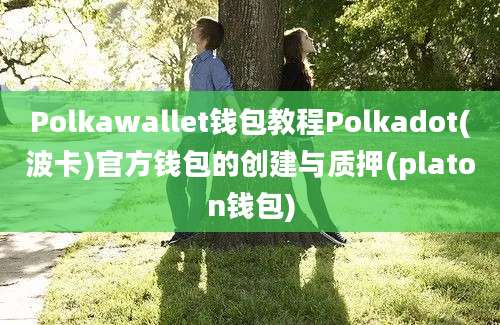 Polkawallet钱包教程Polkadot(波卡)官方钱包的创建与质押(platon钱包)