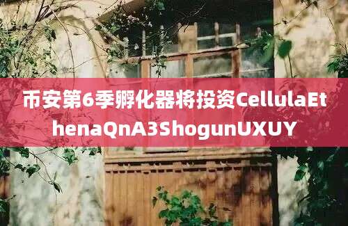 币安第6季孵化器将投资CellulaEthenaQnA3ShogunUXUY