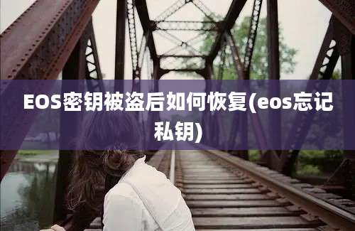 EOS密钥被盗后如何恢复(eos忘记私钥)