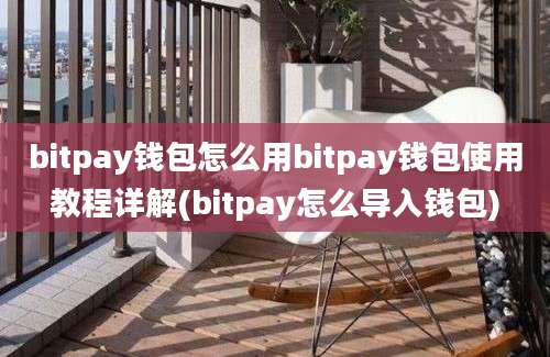 bitpay钱包怎么用bitpay钱包使用教程详解(bitpay怎么导入钱包)