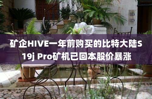 矿企HIVE一年前购买的比特大陆S19j Pro矿机已回本股价暴涨