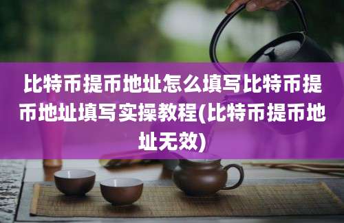 比特币提币地址怎么填写比特币提币地址填写实操教程(比特币提币地址无效)