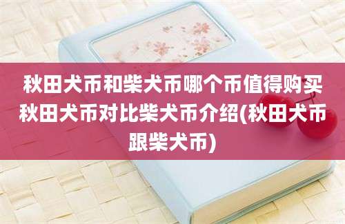 秋田犬币和柴犬币哪个币值得购买秋田犬币对比柴犬币介绍(秋田犬币跟柴犬币)